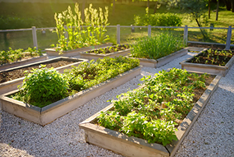 Plantas de exterior